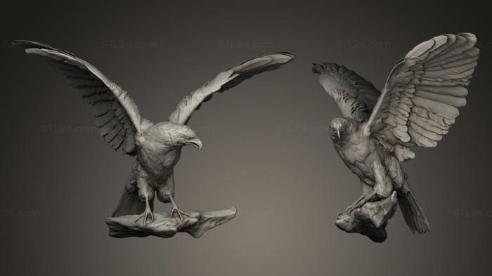 Bird figurines (Bird Of Prey, STKB_0004) 3D models for cnc
